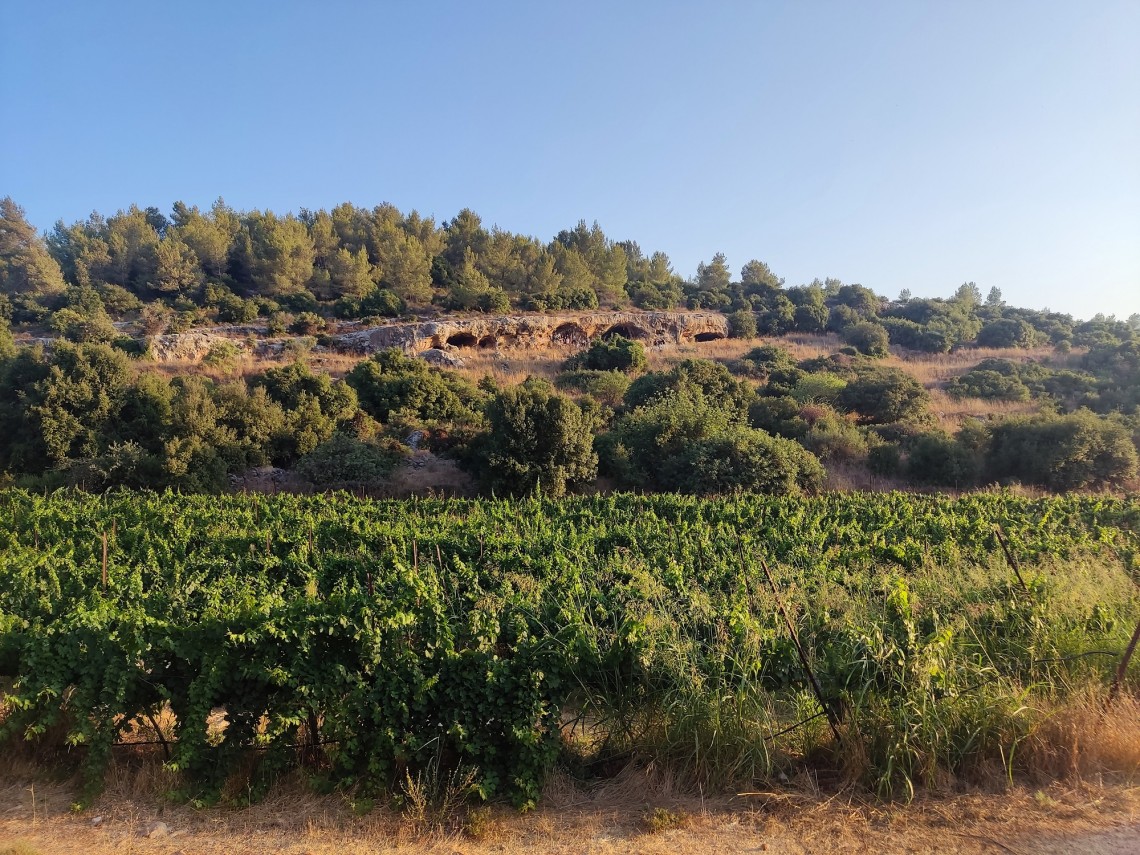 הרי ירושלים. צילום: מכון אבשלום